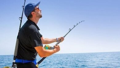 fishing tours