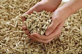 wood pellets market