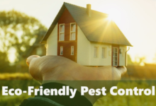 Eco-friendly Pest Management Solutions