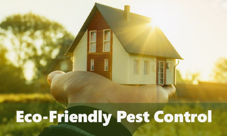 Eco-friendly Pest Management Solutions